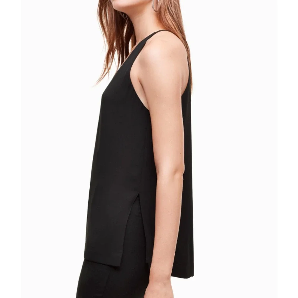 Aritzia babaton morris